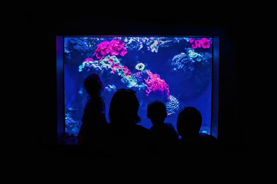 Lizbona z dziećmi: Oceanarium, ZOO i inne atrakcje dla całej rodziny