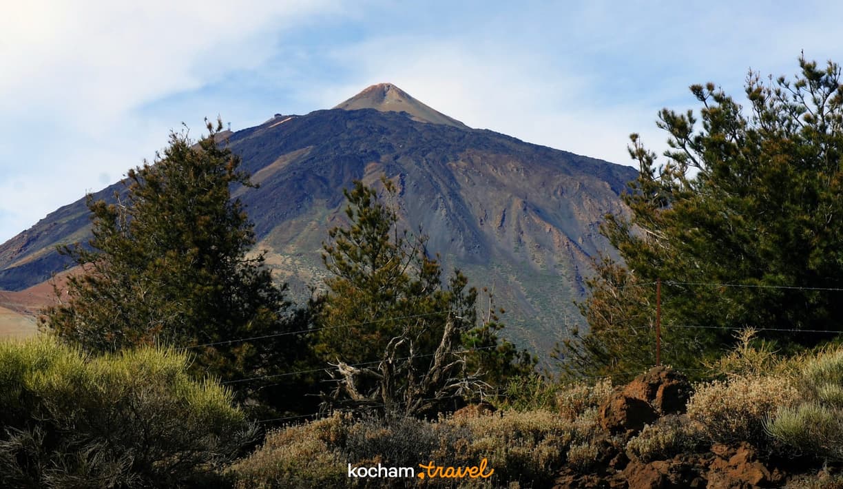 Teide, majestatyczny wulkan na Teneryfie, otoczony krzewami i sosnami.
