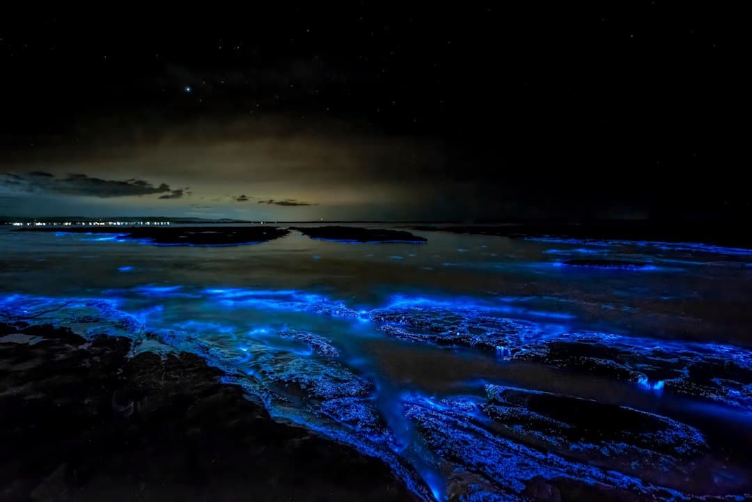 Niebo gwiaździste nad świecącymi falami oceanicznymi.