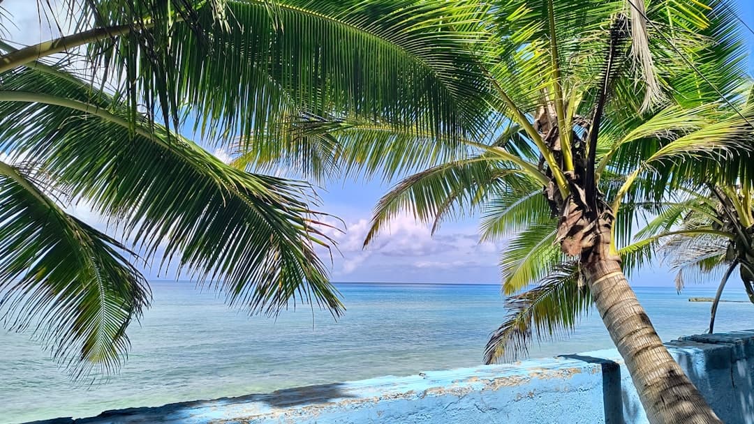 Najpiękniejsze plaże Aitutaki: Przewodnik po lagunie i bezludnych wysepkach (motu)