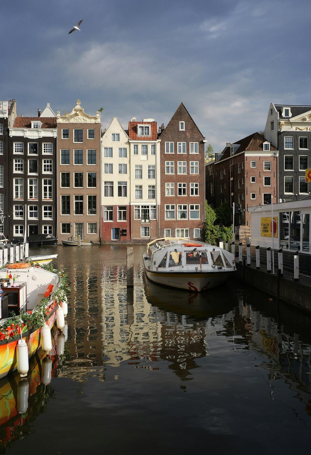 Kanały Amsterdamu z tradycyjnymi holenderskimi domami