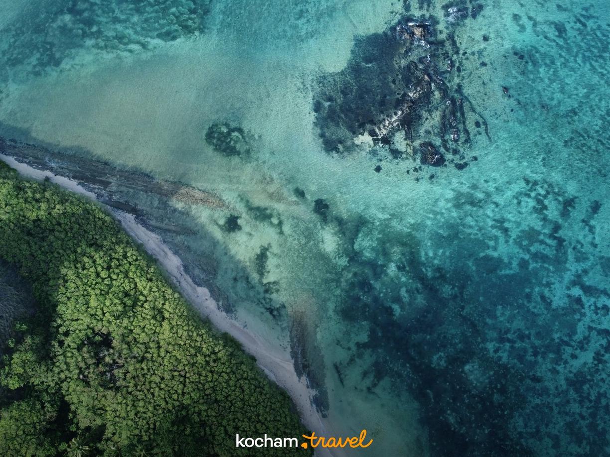 Turkusowy ocean, piaszczysta plaża i bujny tropikalny las.
