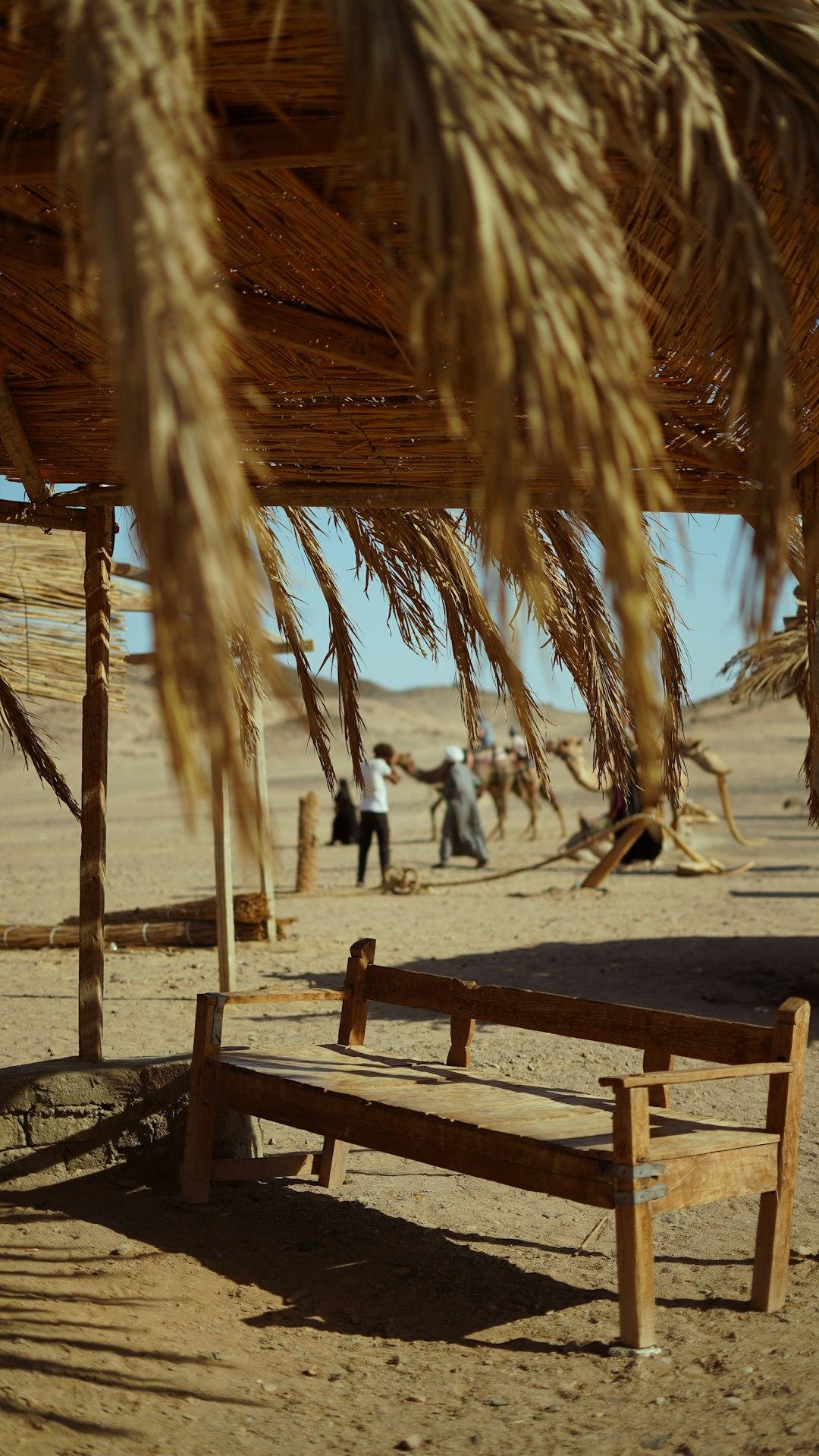 Egipt z dziećmi: Który kurort wybrać na rodzinne wakacje – Hurghada czy Marsa Alam?