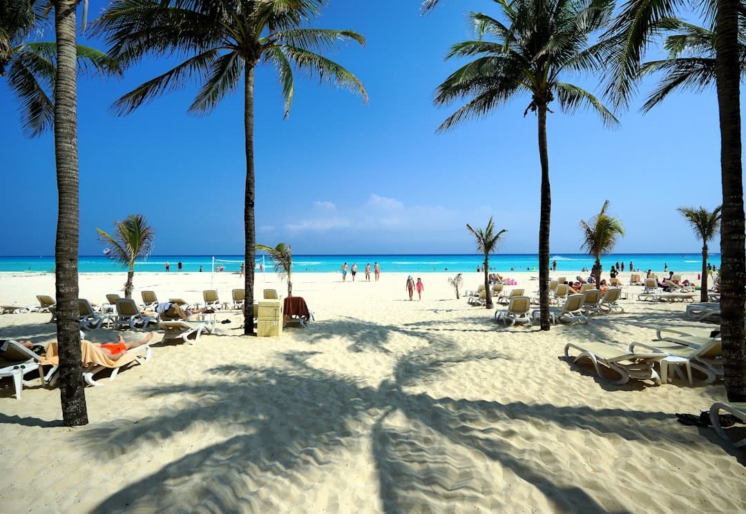 Piękna egipska plaża z palmami