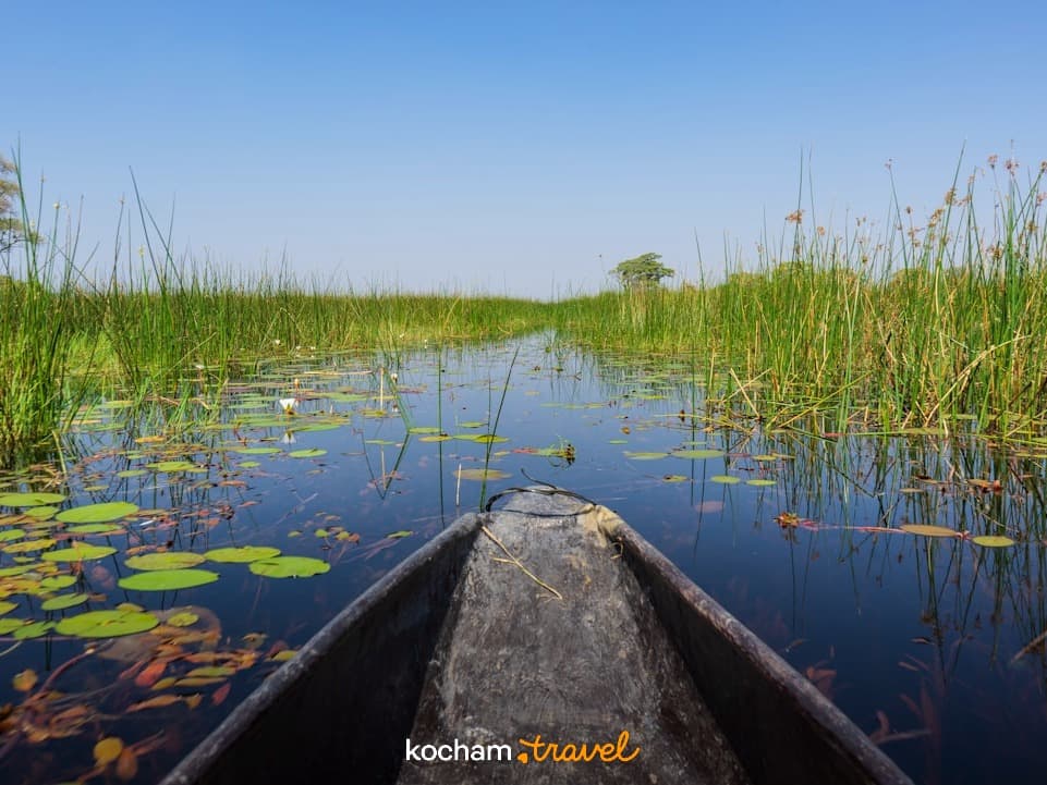 Mokoro płynące przez kanał wodny w delcie Okawango, Botswana