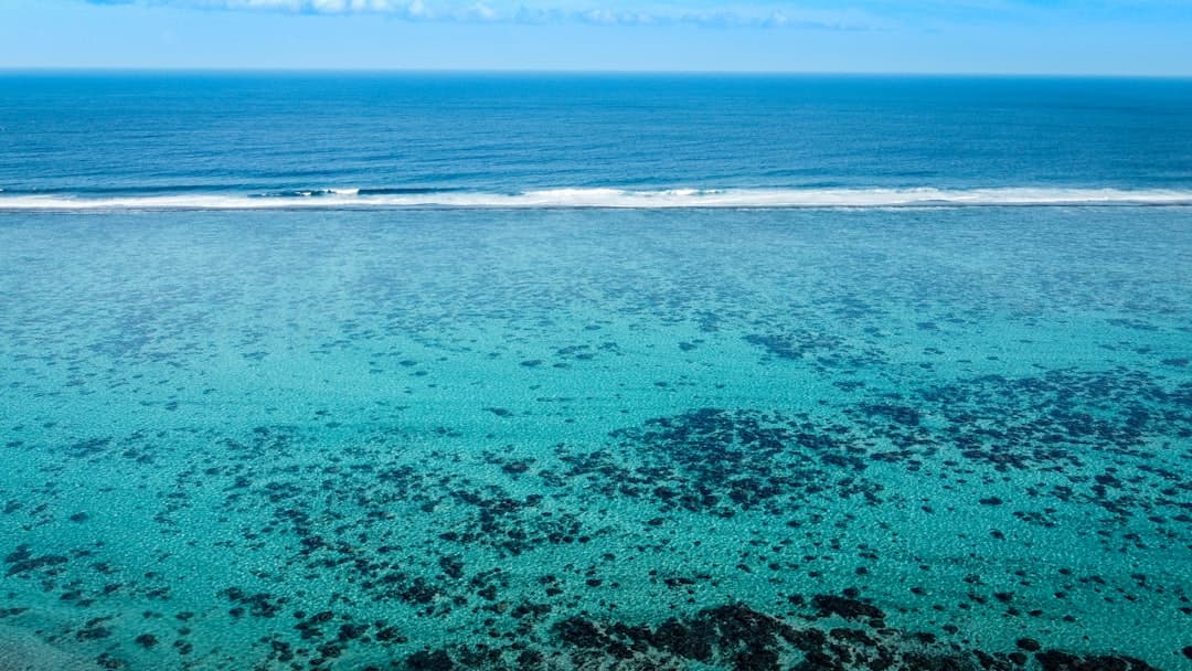 Polinezja Francuska. Moorea z dziećmi: Najlepsze atrakcje i hotele dla rodzin