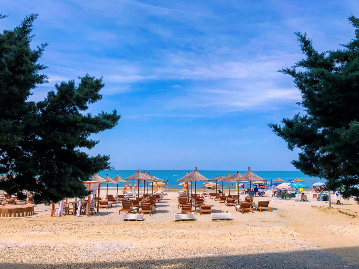 Słoneczna plaża z parasolami, leżakami, morzem i zielonymi drzewami.