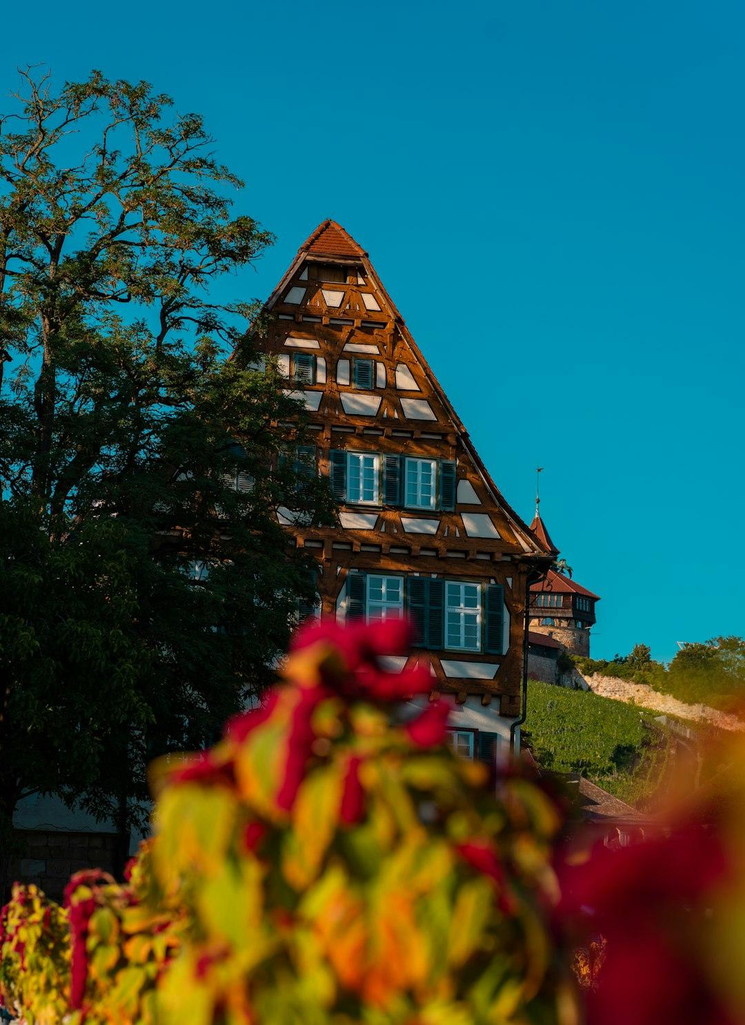 Zamek Neuschwanstein z pięknym krajobrazem