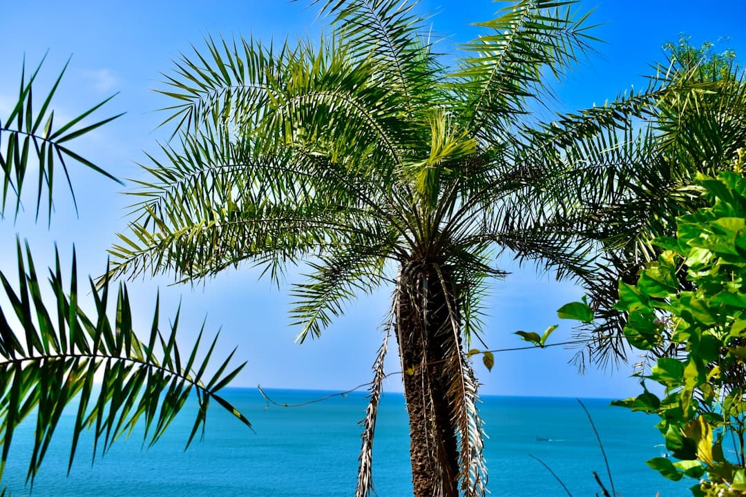 All Inclusive na Malediwach: Jak wybrać najlepszy resort i co jest w cenie?