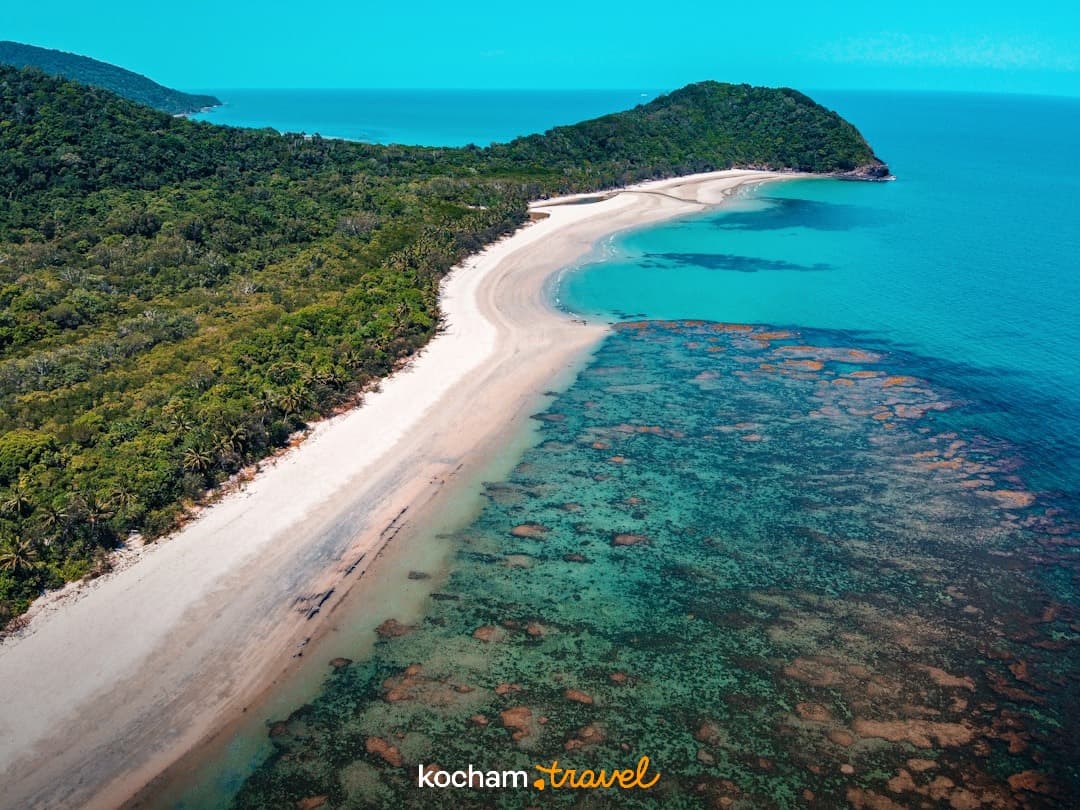 Tropikalna plaża, las deszczowy, turkusowy ocean, rafa koralowa z lotu ptaka.