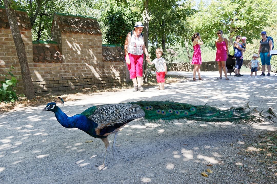 Rodzina w Praskim ZOO