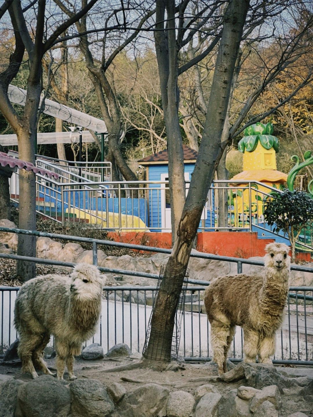 Berlin z dziećmi: ZOO, Muzeum Techniki i inne atrakcje dla całej rodziny