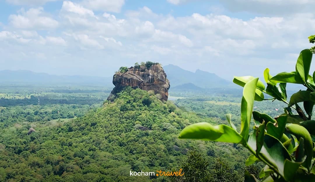 Panoramiczny widok na skałę Sigiriya i zieloną dżunglę Sri Lanki