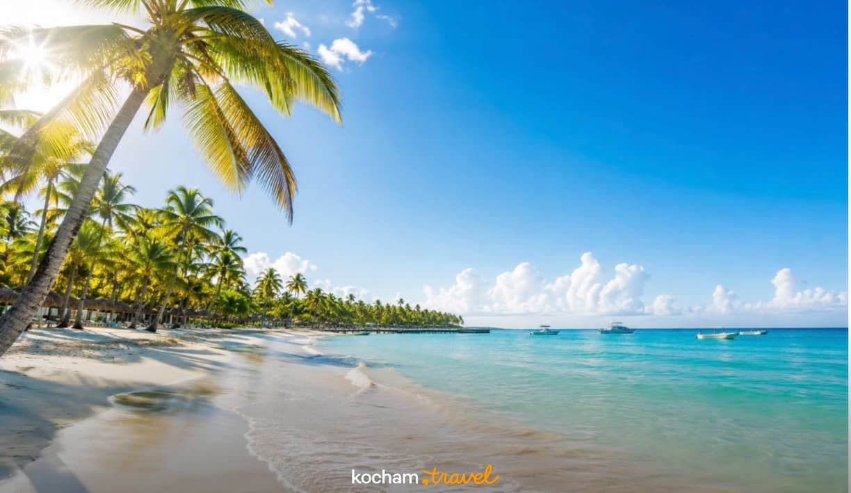 Gotowy plan podróży: wyjazd do Punta Cana na Dominikanie. 7-dniowy rozkład dnia z czasem na plażowanie, karaibskie obiady i spacery po okolicy.