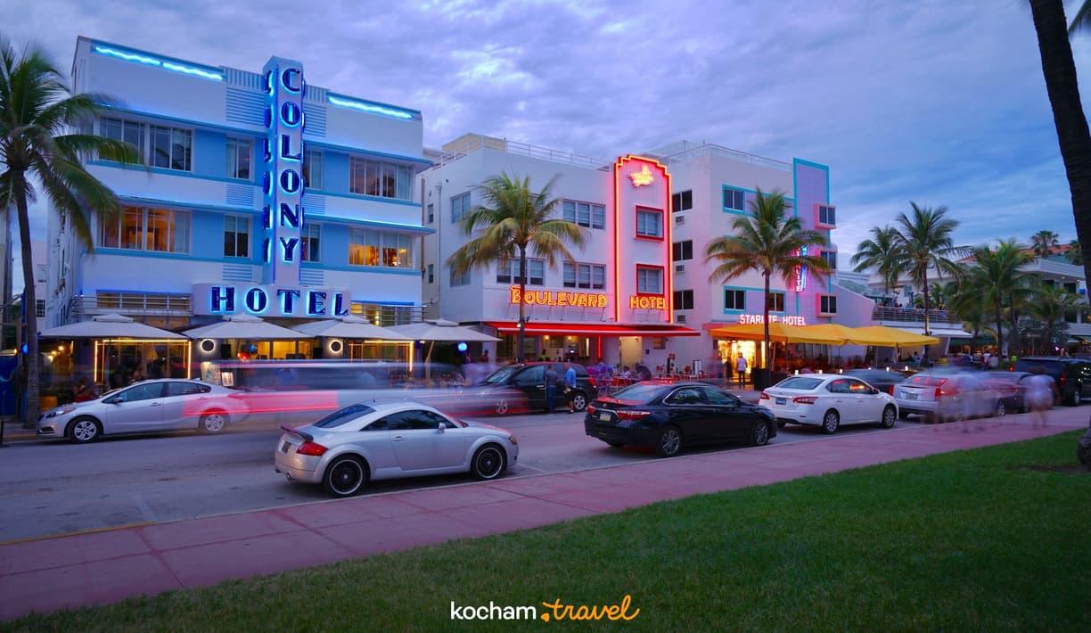 Hotele Art Deco z neonami i palmami na Ocean Drive, Miami Beach wieczorem.