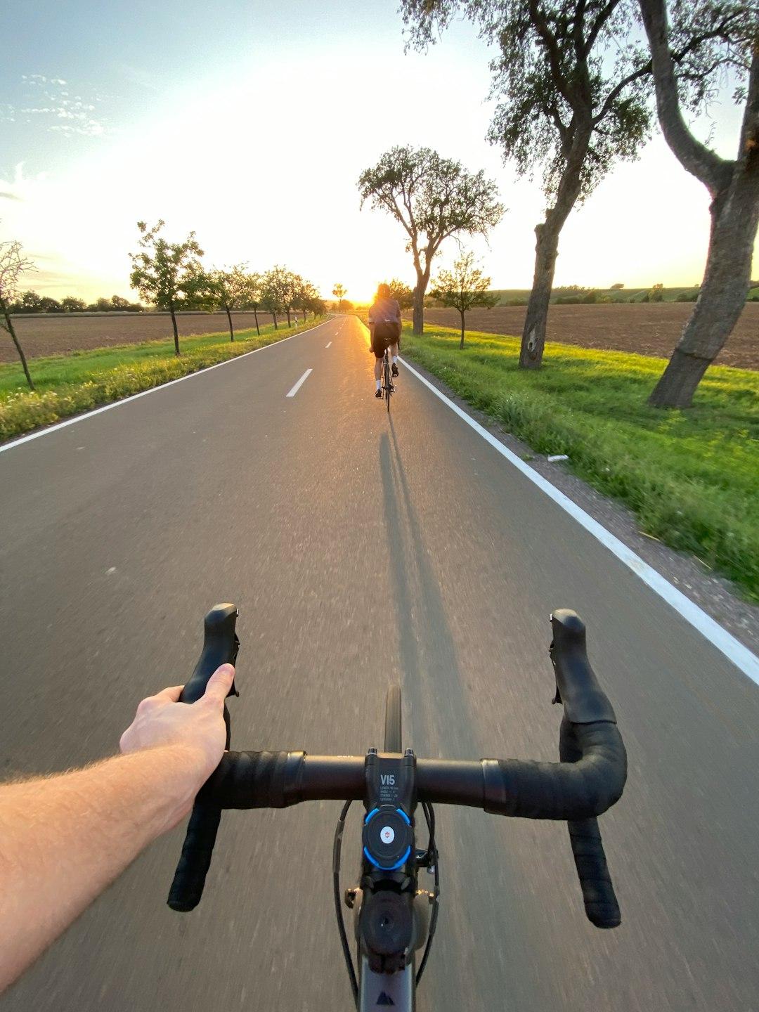 Sceniczna trasa rowerowa w Brugii podczas zachodu słońca