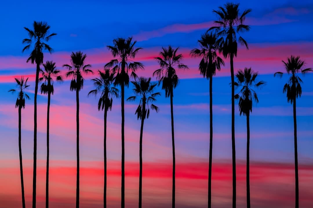 Zachód słońca w Los Angeles