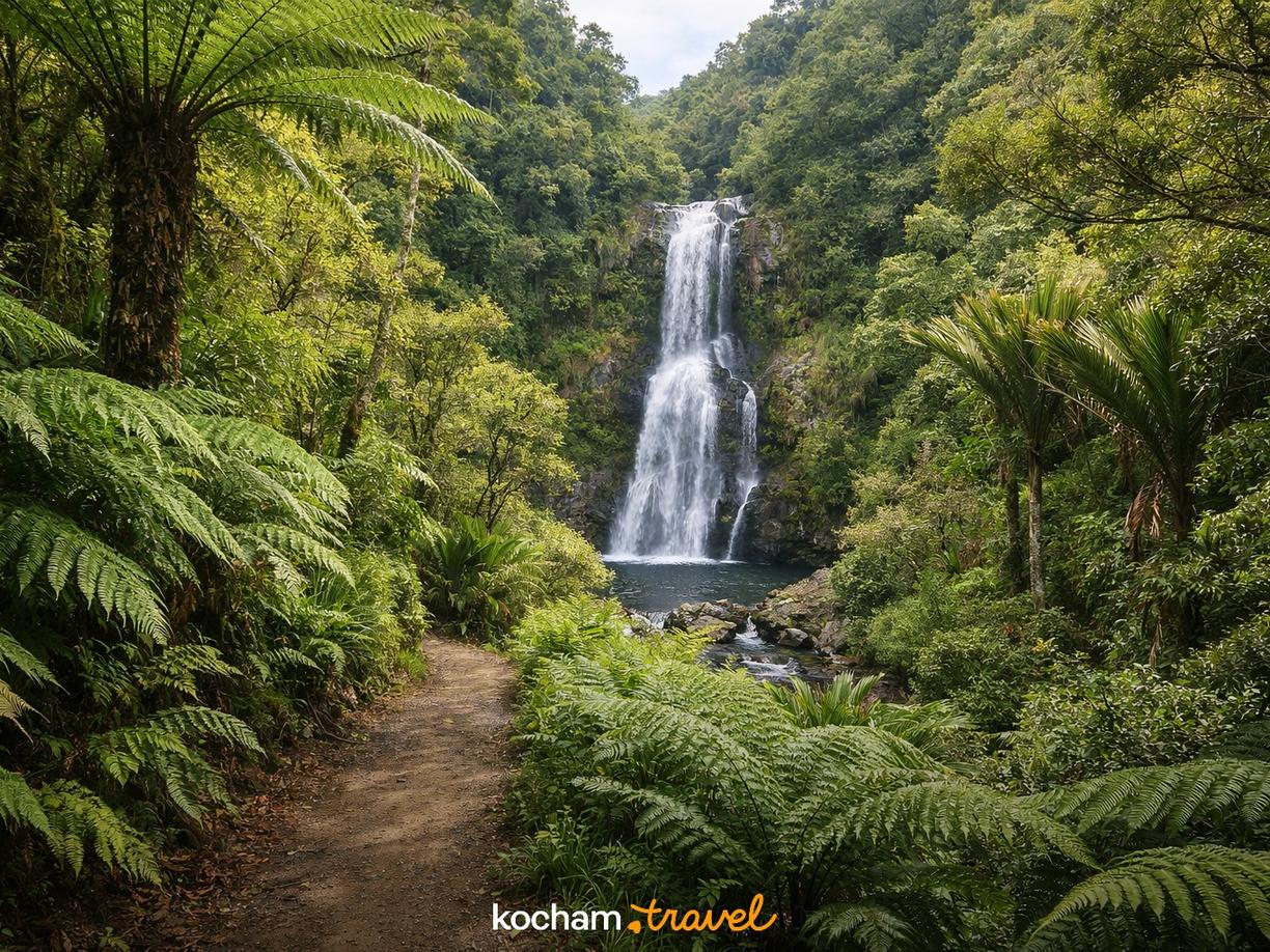 Lasy Deszczowe Waitākere Ranges: Zanurz się w Dzikiej Przyrodzie w Auckland