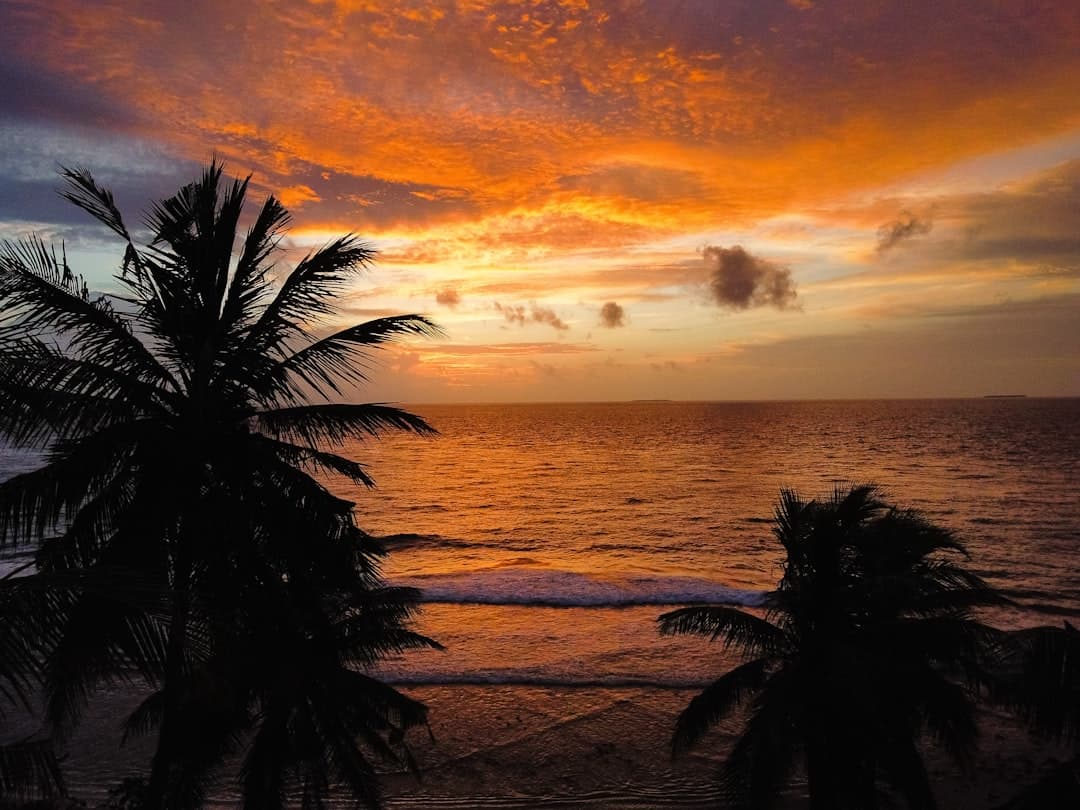 All Inclusive w Bocas del Toro: Przegląd resortów i alternatywnych noclegów