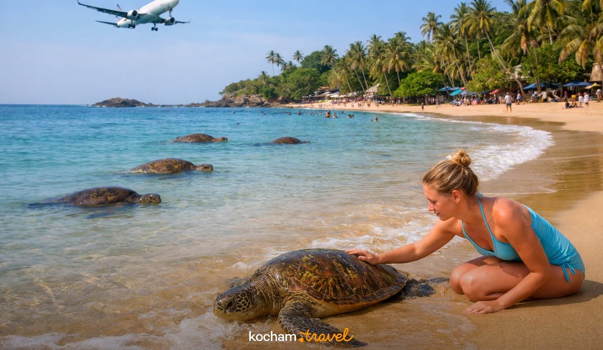 Ilustracja do tematu: Gdzie samolotem na urlop: Sri Lanka i spotkania z żółwiami morskimi na plażach w Unawatunie.