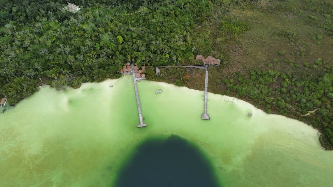 Malownicza zielona laguna z cenote i pomostami, otoczona dżunglą.
