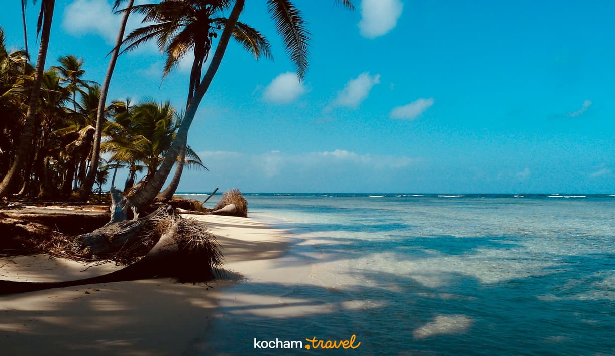 Tropikalna plaża z palmami, błękitną wodą i czystym niebem.