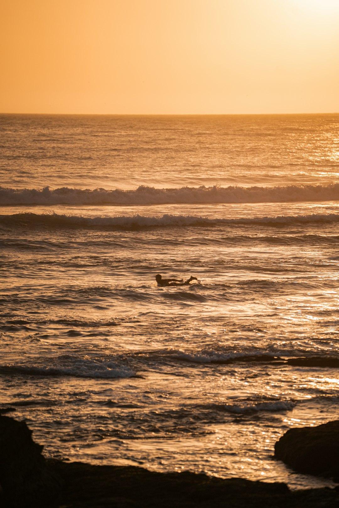 Surfer płynący na desce po złotych falach o zachodzie słońca.
