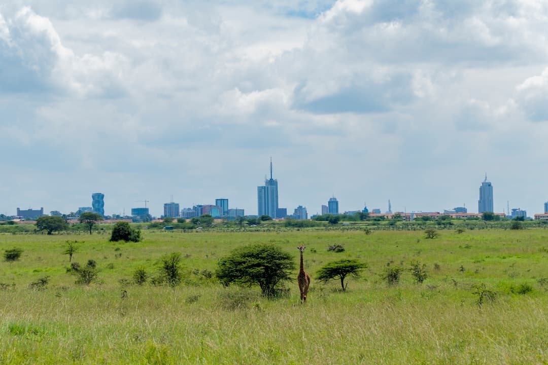 Safari rowerowe w Parku Narodowym Nairobi