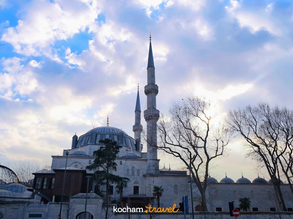 Historyczny meczet z minaretami, kopułami, gołymi drzewami, pochmurne niebo.