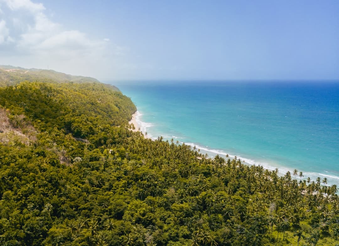 Tropikalna plaża z palmami, bujny las, turkusowy ocean.