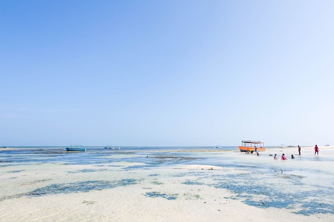 Kenia. Ceny w Malindi 2025/26: Ile kosztuje obiad, wstęp do parku morskiego i taksówka?