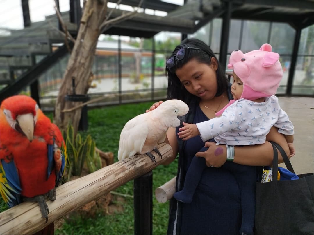 Dzieci obserwujące zwierzęta w zoo w Hanoi