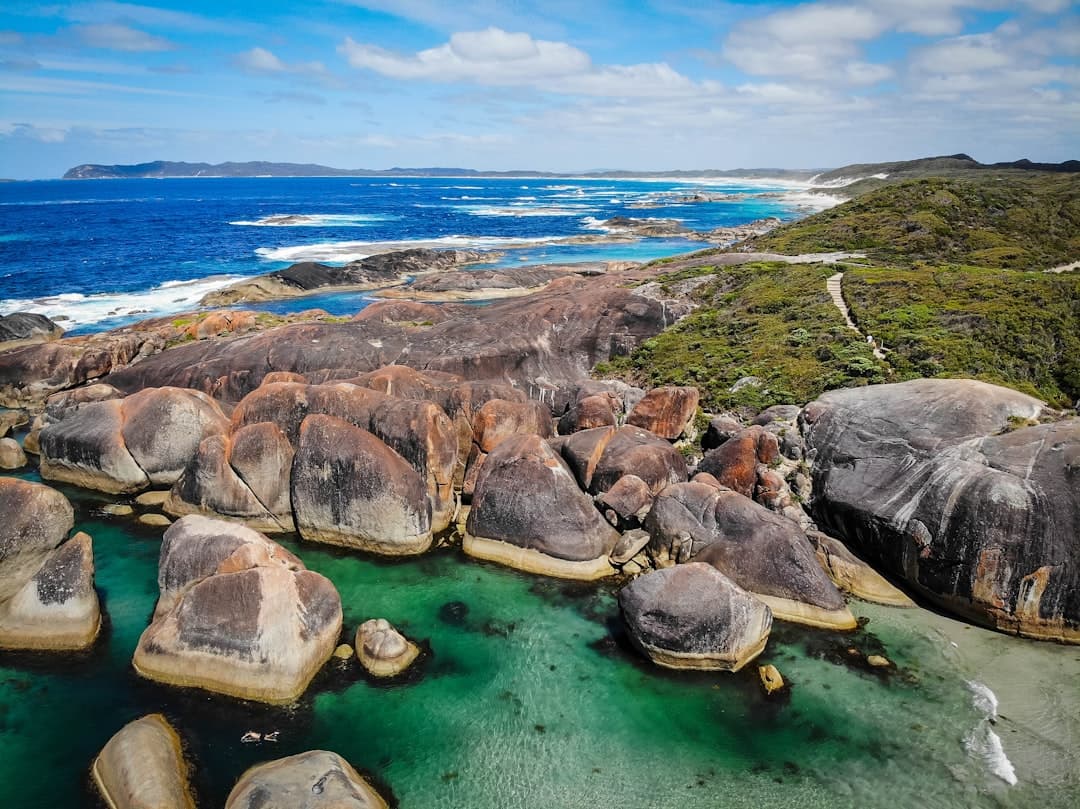 Co trzeba zobaczyć na Galapagos? Przewodnik po Stacji Karola Darwina i okolicach Puerto Ayora