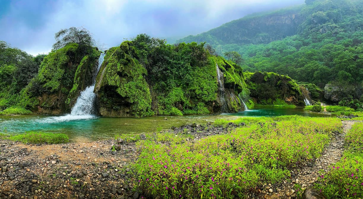Oman poza utartym szlakiem: Salalah i zielone wadi regionu Dhofar