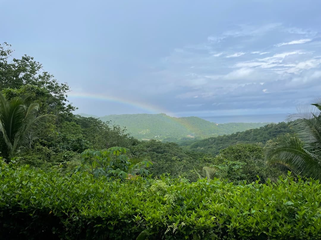 Trekking w górach Boquete, Panama
