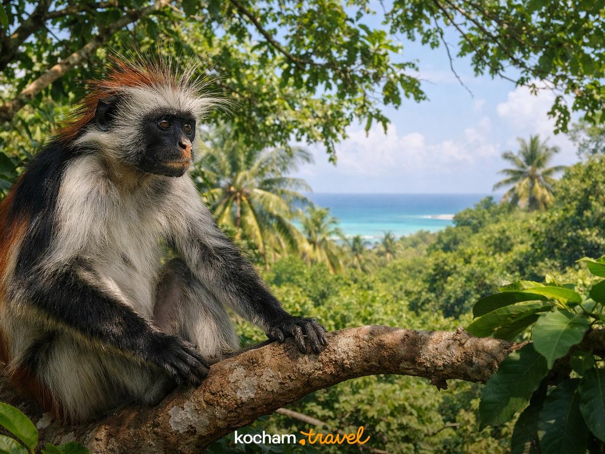 Dzień 3: Przyroda Zanzibaru i pożegnanie w Stone Town