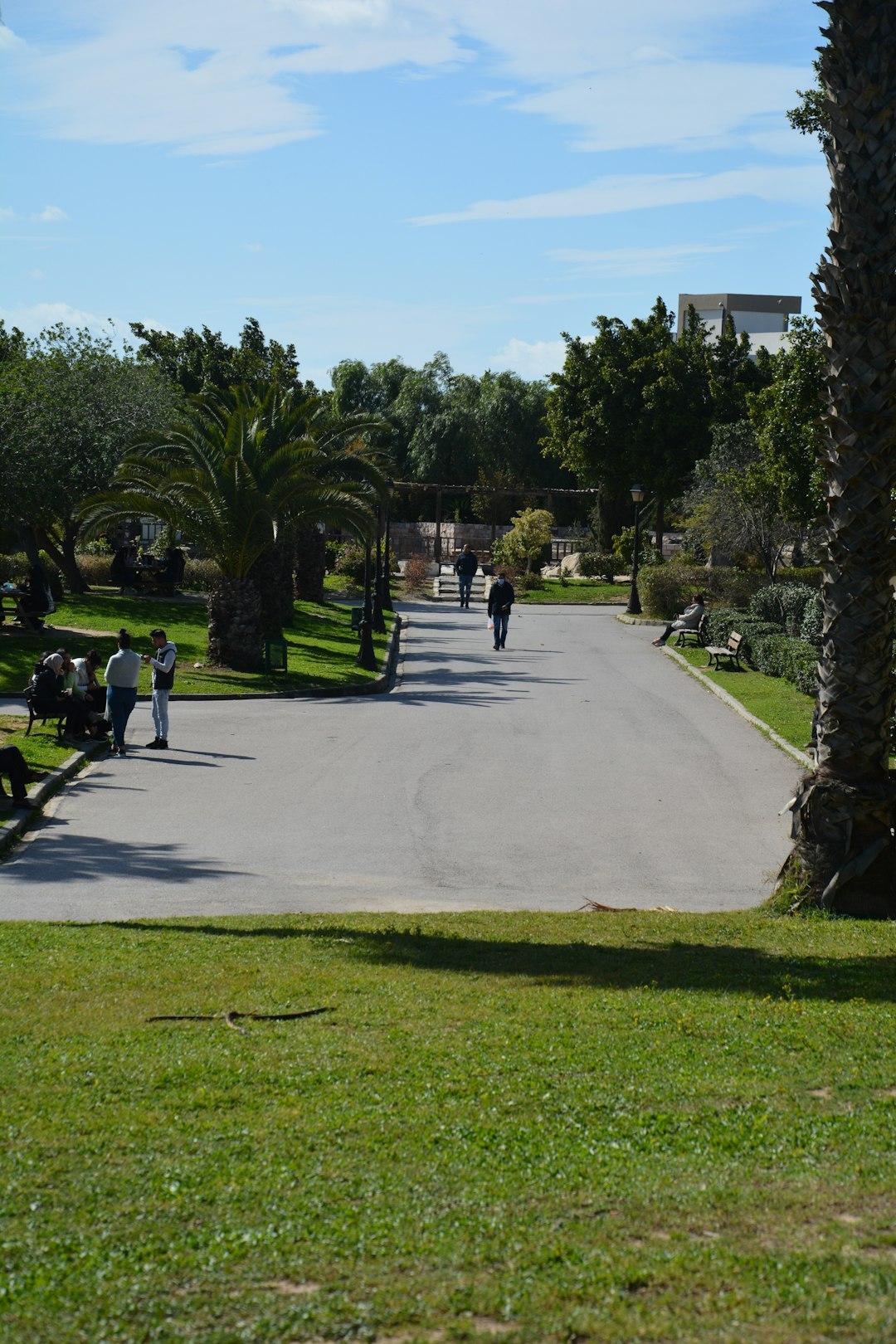 Golf w Hammamet: Najlepsze pola golfowe w Tunezji