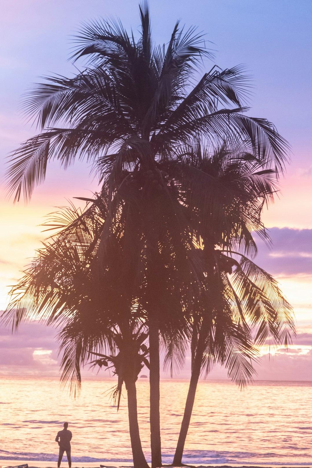 Najpiękniejsze plaże w Malindi i Watamu: Gdzie snurkować i odpoczywać?