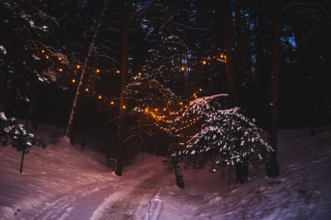 Śnieżny las nocą, girlanda światełek, zimowy krajobraz.