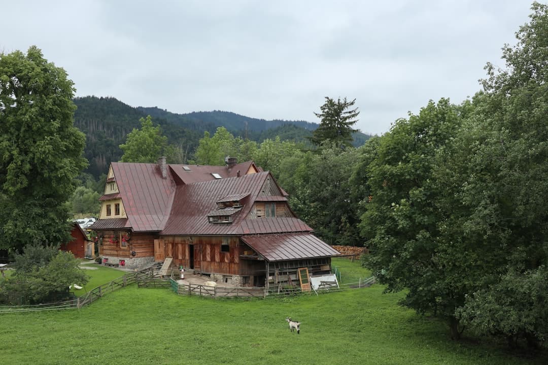 Górski drewniany dom, zielone łąki, kozioł, zalesione wzgórza.