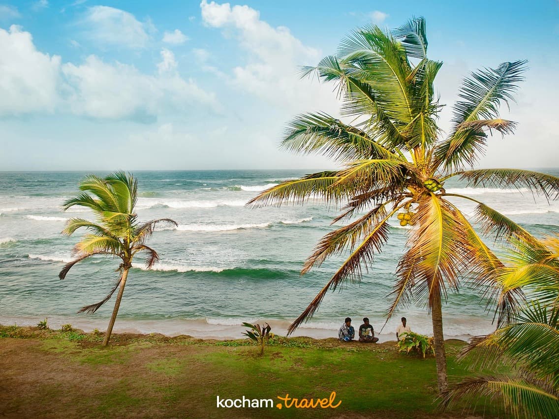 Słoneczna tropikalna plaża z palmami i turkusowym oceanem.