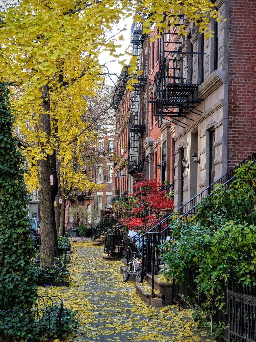 Rowery w Greenwich Village