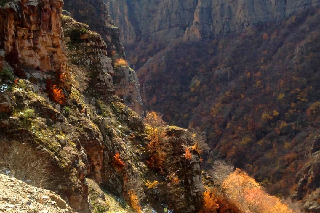 Przygoda w Kanionie Colca