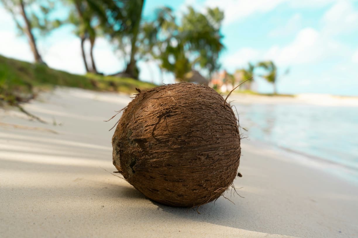 Zachód słońca na plaży Flic en Flac