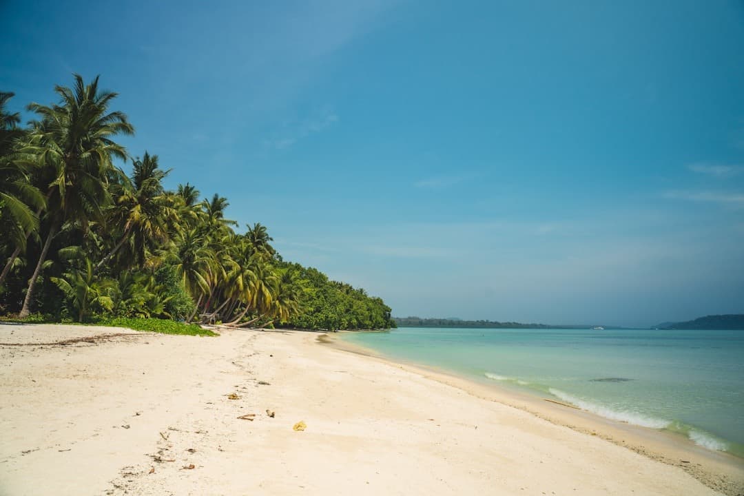 Tropikalna plaża z palmami, białym piaskiem i turkusową wodą.
