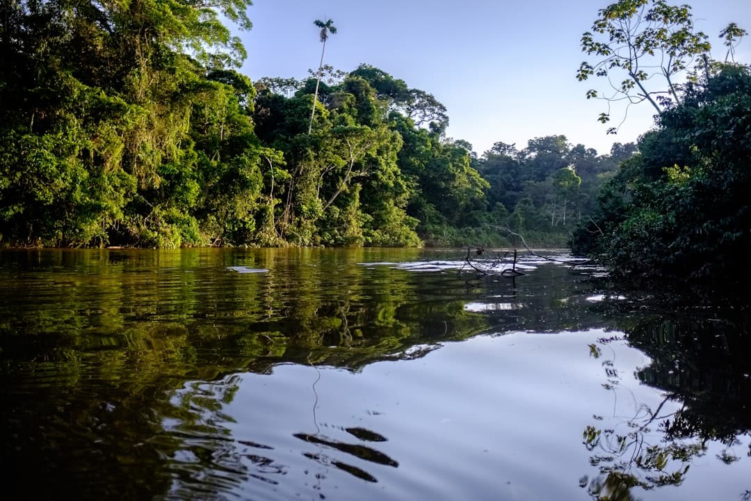 Co zwiedzić w Ekwadorze? Amazonia, wulkany i kolonialne miasto Quito