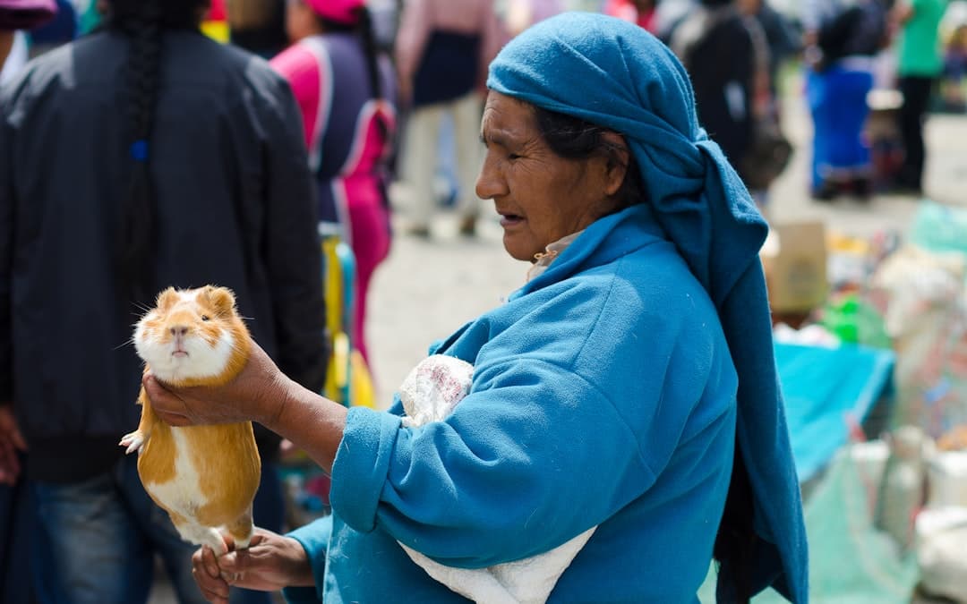 Targ w Otavalo