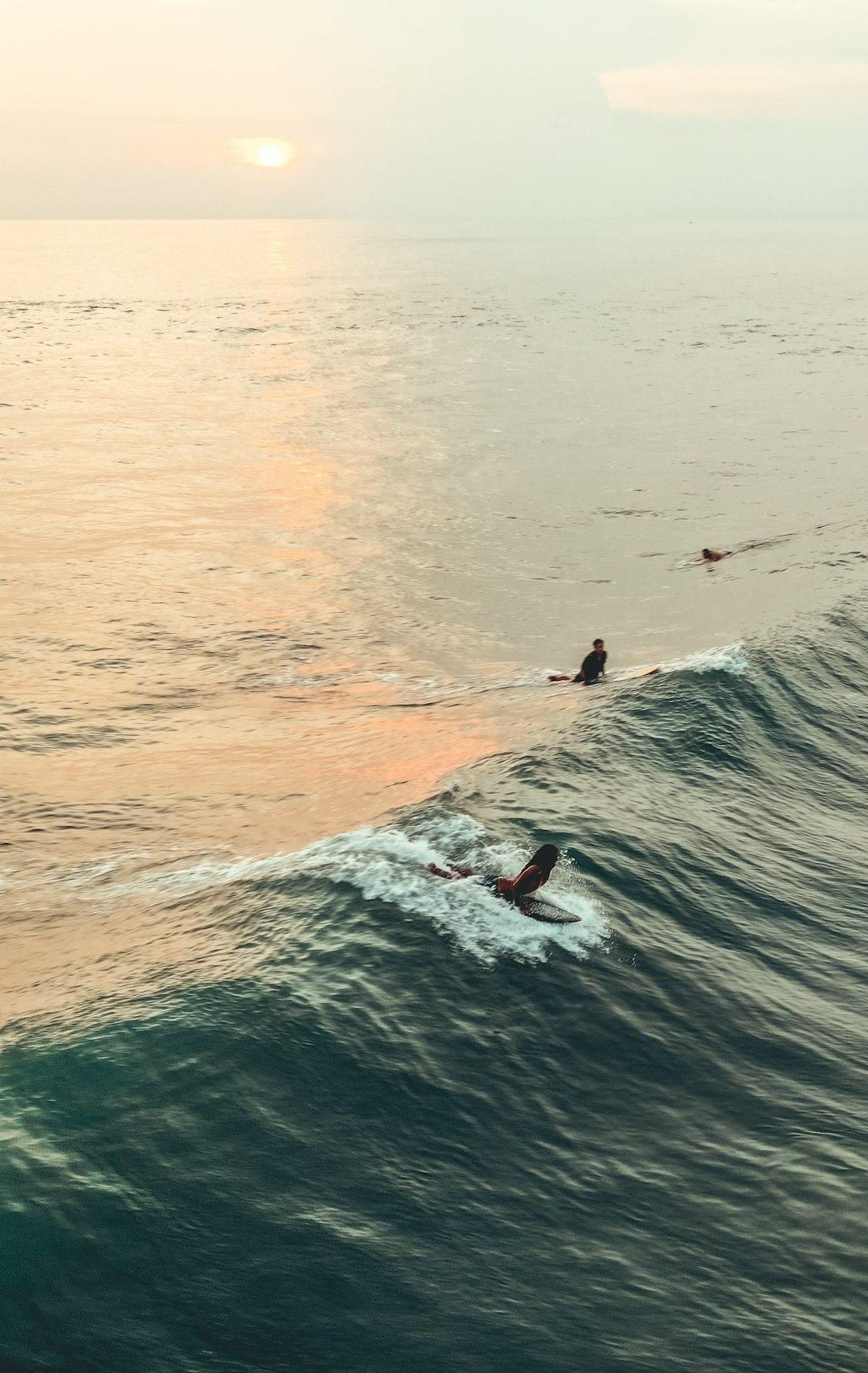 Lekcje surfingu w Canggu