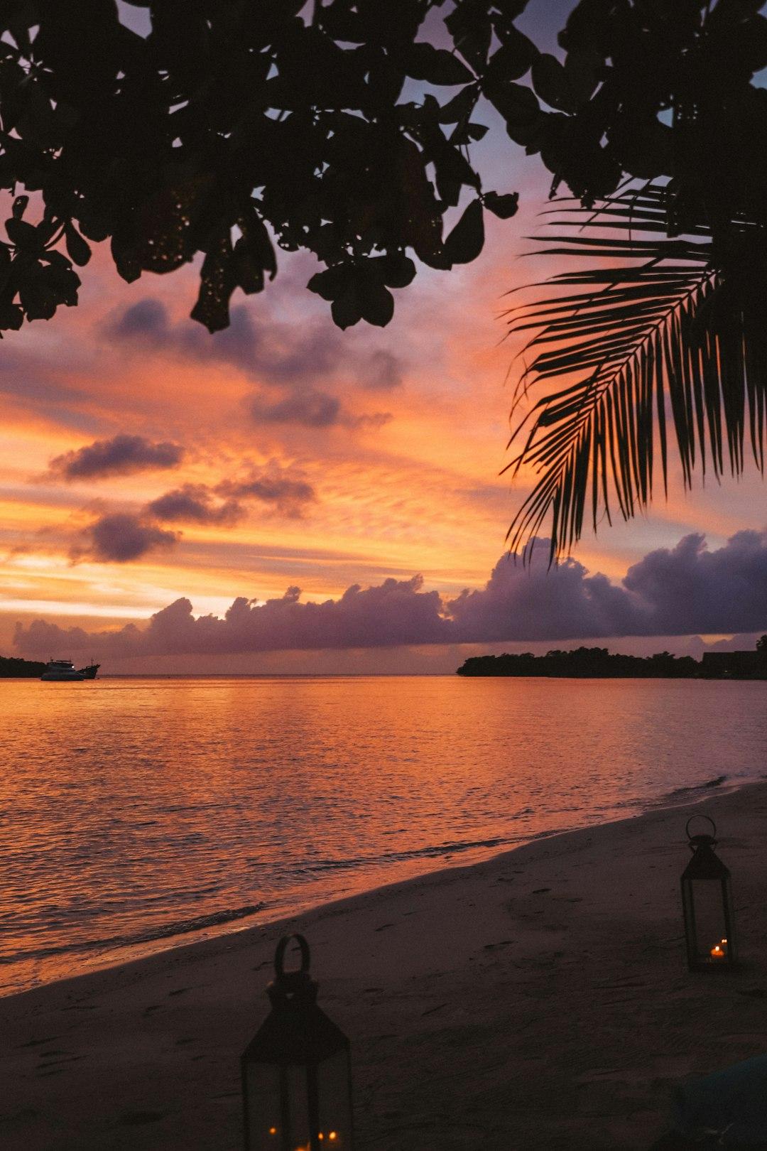 Co zwiedzić w Grand Baie i na północy Mauritiusa? Ogród Pamplemousses i Port Louis