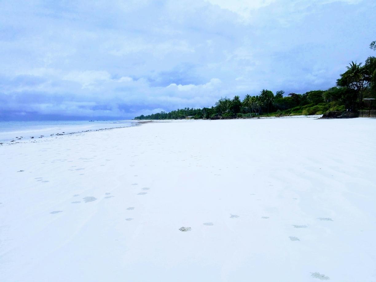 Rozległa biała plaża z palmami i morzem pod pochmurnym niebem.